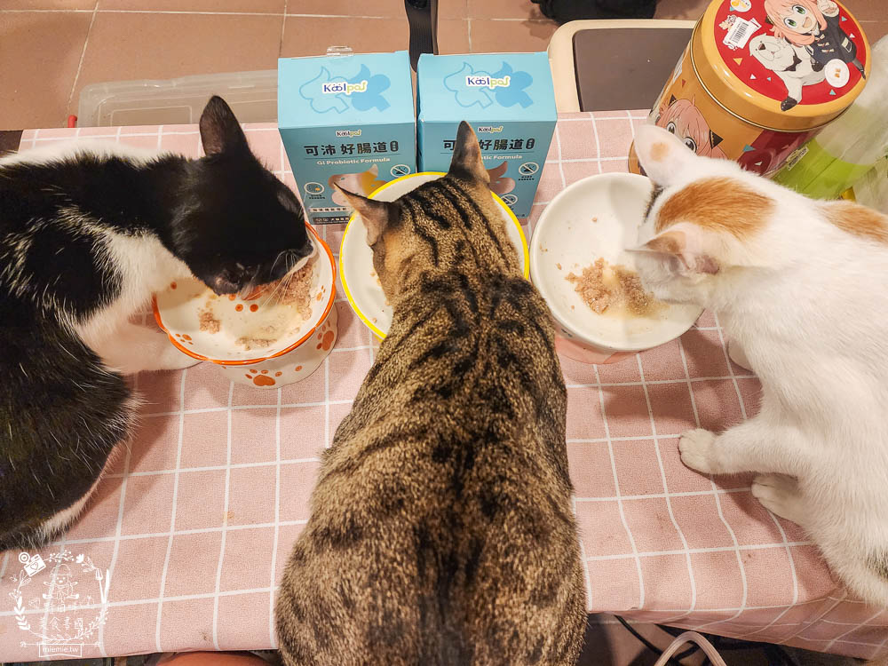 寵物益生菌推薦[Koolpal可沛寵藥好腸道益生菌]複合芽孢桿菌群幫助便便順暢又減少臭味!適口性佳益生菌推薦