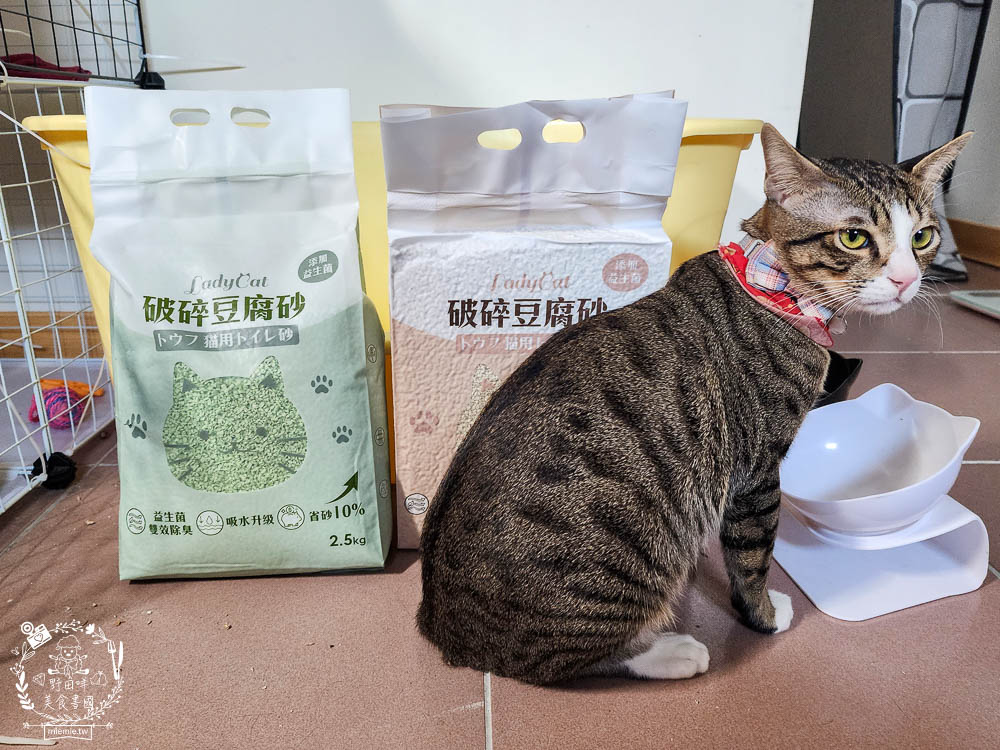 Lady Cat貓夫人第四代豆腐砂開箱!超強凝結吸收力的貓砂!專利益生菌與天然黃豆纖維雙效除臭! - 第5張圖 Lady Cat貓夫人第四代豆腐砂開箱!超強凝結吸收力的貓砂!專利益生菌與天然黃豆纖維雙效除臭!