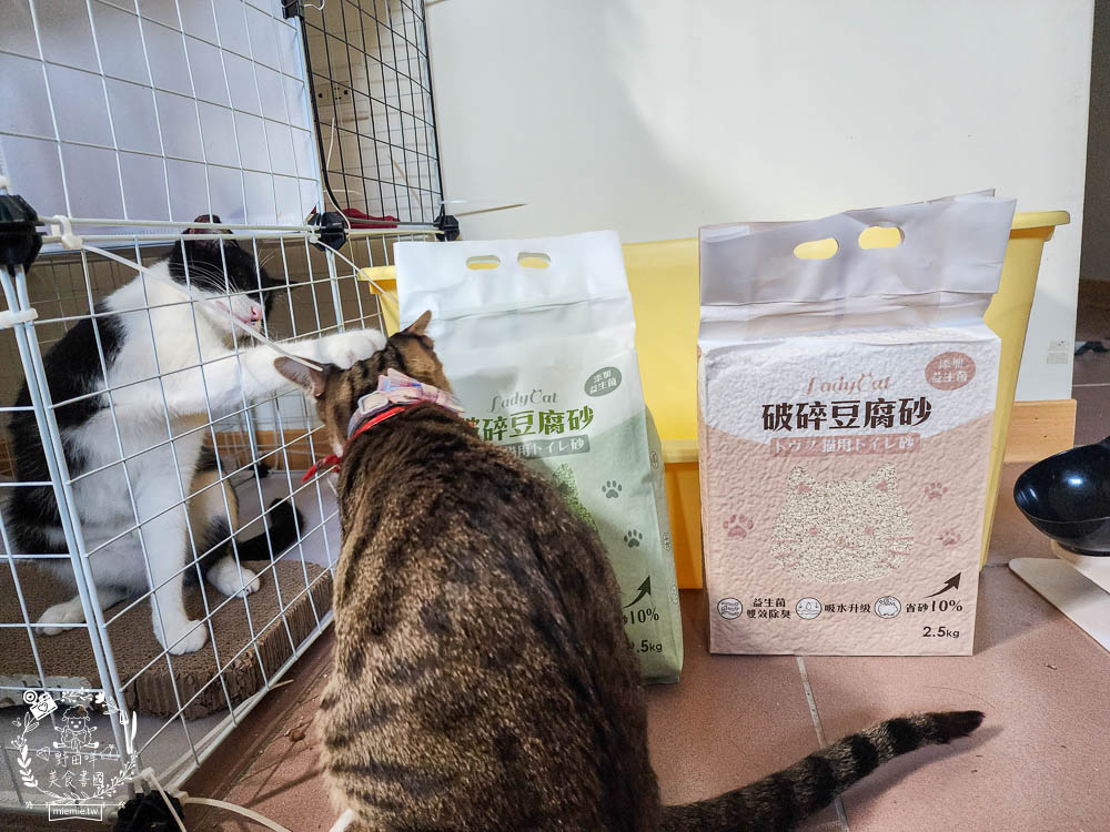 Lady Cat貓夫人第四代豆腐砂開箱!超強凝結吸收力的貓砂!專利益生菌與天然黃豆纖維雙效除臭! - 第6張圖 Lady Cat貓夫人第四代豆腐砂開箱!超強凝結吸收力的貓砂!專利益生菌與天然黃豆纖維雙效除臭!