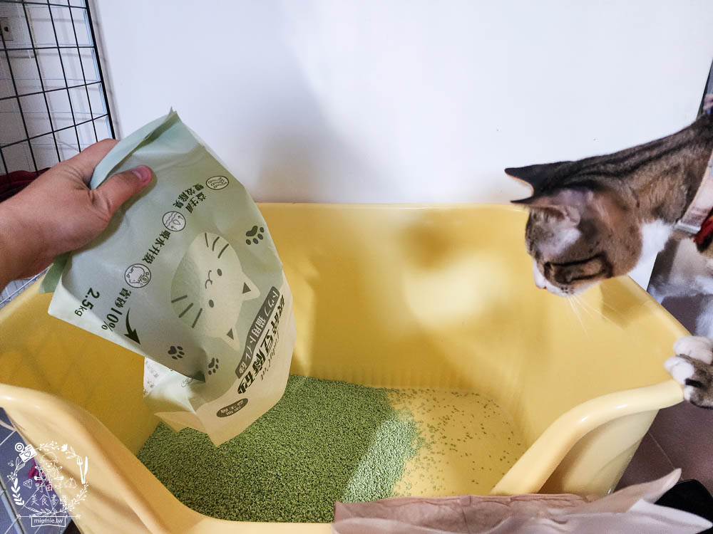 Lady Cat貓夫人第四代豆腐砂開箱!超強凝結吸收力的貓砂!專利益生菌與天然黃豆纖維雙效除臭! - 第8張圖 Lady Cat貓夫人第四代豆腐砂開箱!超強凝結吸收力的貓砂!專利益生菌與天然黃豆纖維雙效除臭!