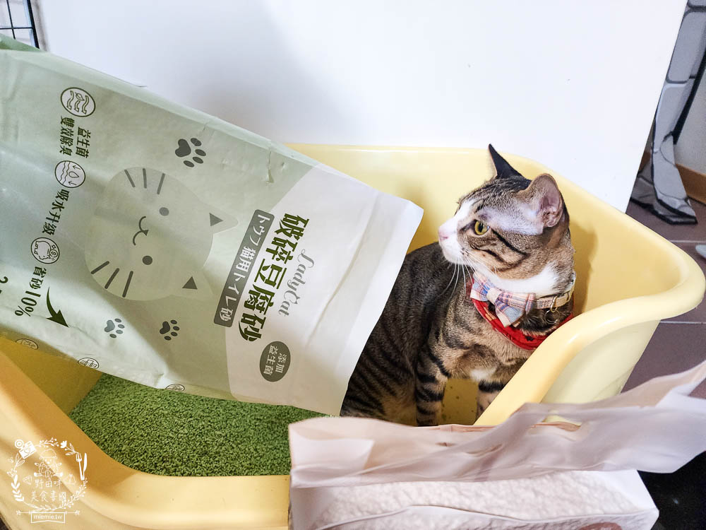 Lady Cat貓夫人第四代豆腐砂開箱!超強凝結吸收力的貓砂!專利益生菌與天然黃豆纖維雙效除臭! - 第9張圖 Lady Cat貓夫人第四代豆腐砂開箱!超強凝結吸收力的貓砂!專利益生菌與天然黃豆纖維雙效除臭!