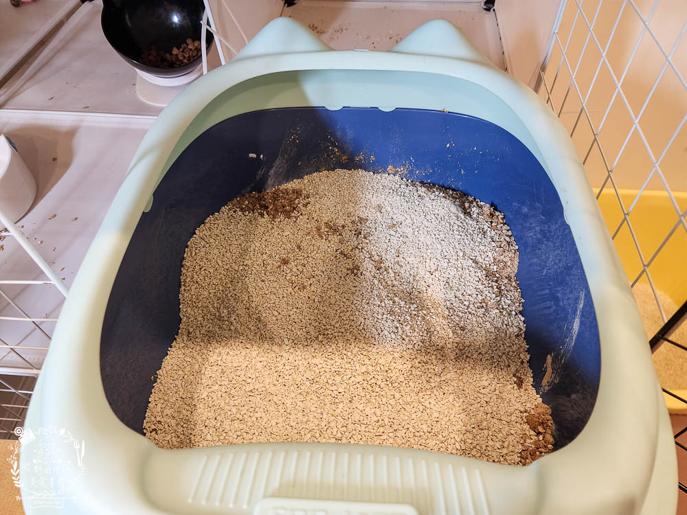 Lady Cat貓夫人第四代豆腐砂開箱!超強凝結吸收力的貓砂!專利益生菌與天然黃豆纖維雙效除臭! - 第26張圖 Lady Cat貓夫人第四代豆腐砂開箱!超強凝結吸收力的貓砂!專利益生菌與天然黃豆纖維雙效除臭!