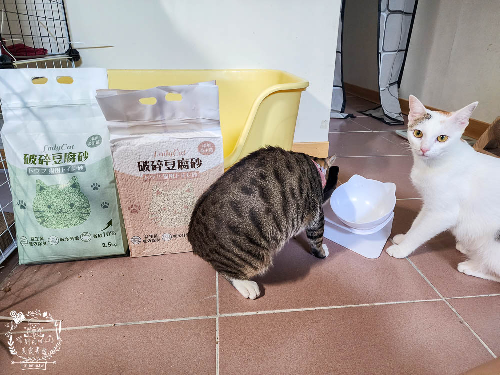 Lady Cat貓夫人第四代豆腐砂開箱!超強凝結吸收力的貓砂!專利益生菌與天然黃豆纖維雙效除臭! - 第2張圖 Lady Cat貓夫人第四代豆腐砂開箱!超強凝結吸收力的貓砂!專利益生菌與天然黃豆纖維雙效除臭!