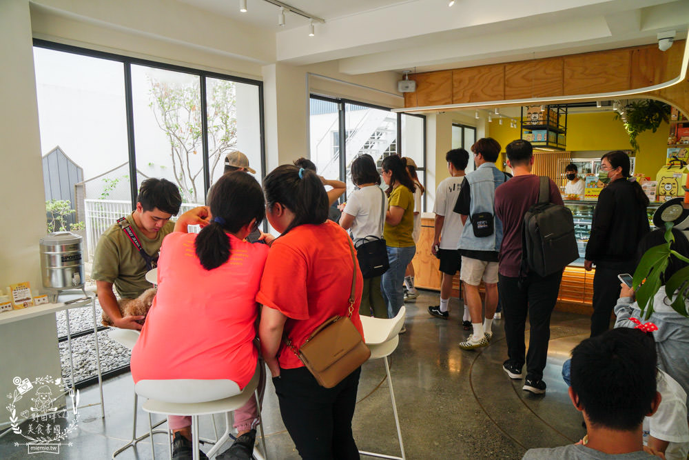 台南超人氣水豚甜點店[MOGU KABI 夏威夷豆塔專賣店]超多隻可愛水豚居然還有餵食秀!繽紛水果塔美味又好拍?