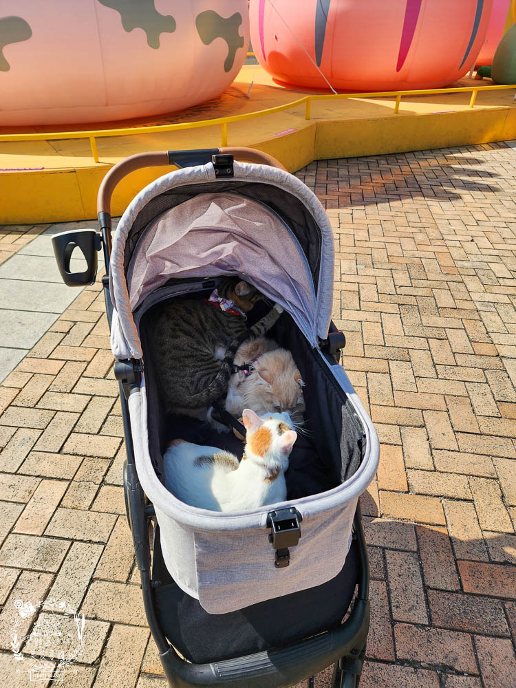 NiPet樂特派T100分離式寵物推車|分離式提籃設計可承重30公斤!單手收車快拆分離!附2側安全扣環寵物不掙脫 - 第7張圖 NiPet樂特派T100分離式寵物推車|分離式提籃設計可承重30公斤!單手收車快拆分離!附2側安全扣環寵物不掙脫