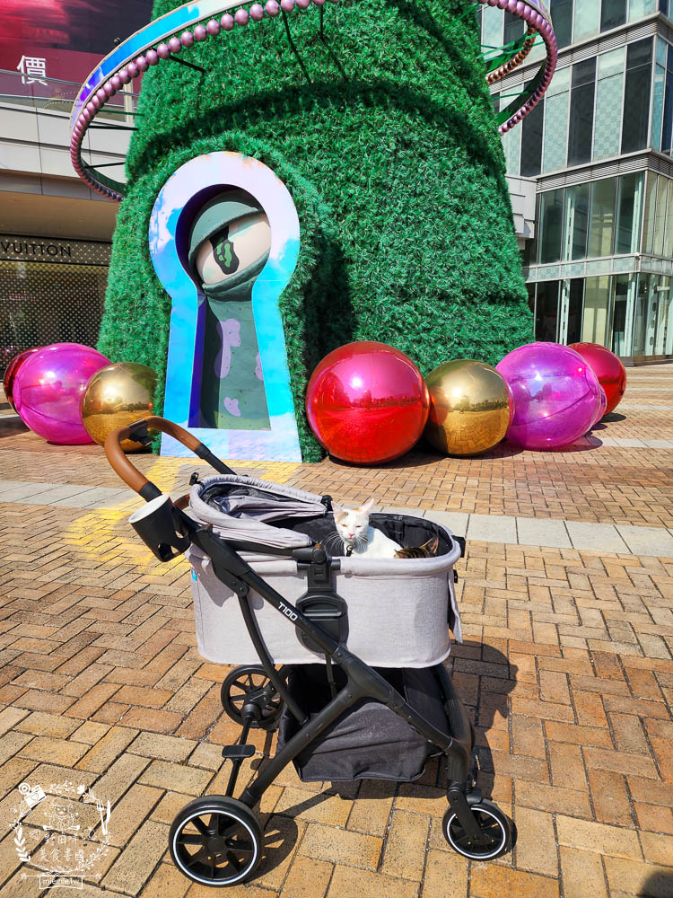 NiPet樂特派T100分離式寵物推車|分離式提籃設計可承重30公斤!單手收車快拆分離!附2側安全扣環寵物不掙脫 - 第8張圖 NiPet樂特派T100分離式寵物推車|分離式提籃設計可承重30公斤!單手收車快拆分離!附2側安全扣環寵物不掙脫