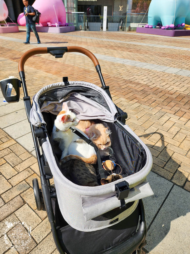 NiPet樂特派T100分離式寵物推車|分離式提籃設計可承重30公斤!單手收車快拆分離!附2側安全扣環寵物不掙脫 - 第18張圖 NiPet樂特派T100分離式寵物推車|分離式提籃設計可承重30公斤!單手收車快拆分離!附2側安全扣環寵物不掙脫