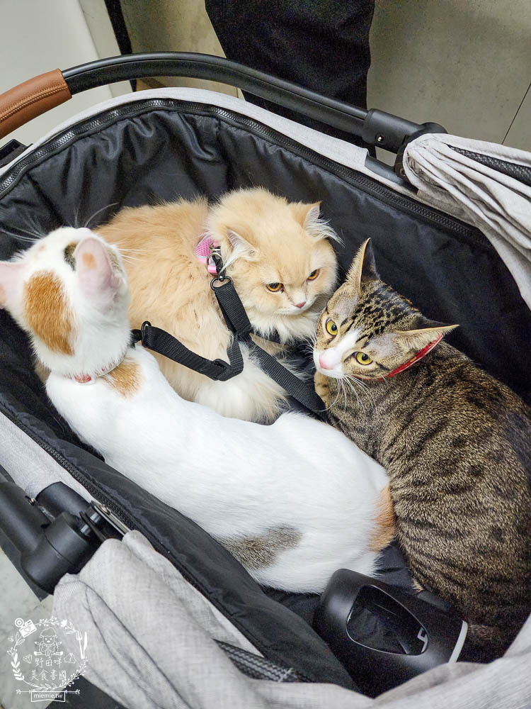 NiPet樂特派T100分離式寵物推車|分離式提籃設計可承重30公斤!單手收車快拆分離!附2側安全扣環寵物不掙脫 - 第4張圖 NiPet樂特派T100分離式寵物推車|分離式提籃設計可承重30公斤!單手收車快拆分離!附2側安全扣環寵物不掙脫