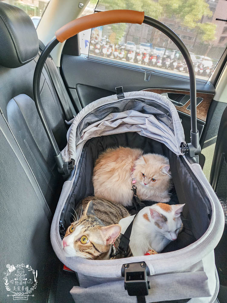 NiPet樂特派T100分離式寵物推車|分離式提籃設計可承重30公斤!單手收車快拆分離!附2側安全扣環寵物不掙脫 - 第26張圖 NiPet樂特派T100分離式寵物推車|分離式提籃設計可承重30公斤!單手收車快拆分離!附2側安全扣環寵物不掙脫
