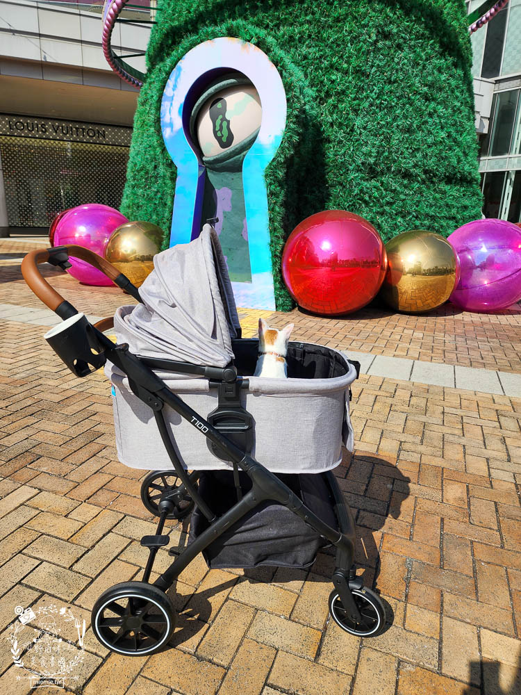 NiPet樂特派T100分離式寵物推車|分離式提籃設計可承重30公斤!單手收車快拆分離!附2側安全扣環寵物不掙脫 - 第6張圖 NiPet樂特派T100分離式寵物推車|分離式提籃設計可承重30公斤!單手收車快拆分離!附2側安全扣環寵物不掙脫