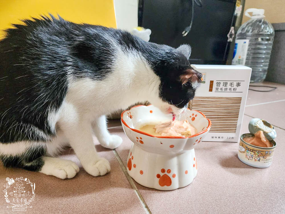 貓咪排毛粉推薦!Pawsitive和樂茸管理毛事茸毛排毛粉評價開箱!排毛爆毛一包搞定!添加日本Asahi啤酒酵母B群＋日本NIPPI專利膠原蛋白