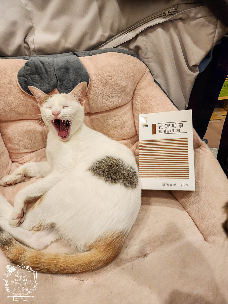 貓咪排毛粉推薦!Pawsitive和樂茸管理毛事茸毛排毛粉評價開箱!排毛爆毛一包搞定!添加日本Asahi啤酒酵母B群＋日本NIPPI專利膠原蛋白