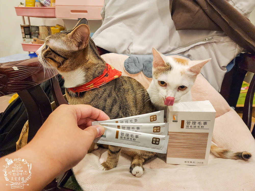 貓咪排毛粉推薦!Pawsitive和樂茸管理毛事茸毛排毛粉評價開箱!排毛爆毛一包搞定!添加日本Asahi啤酒酵母B群＋日本NIPPI專利膠原蛋白