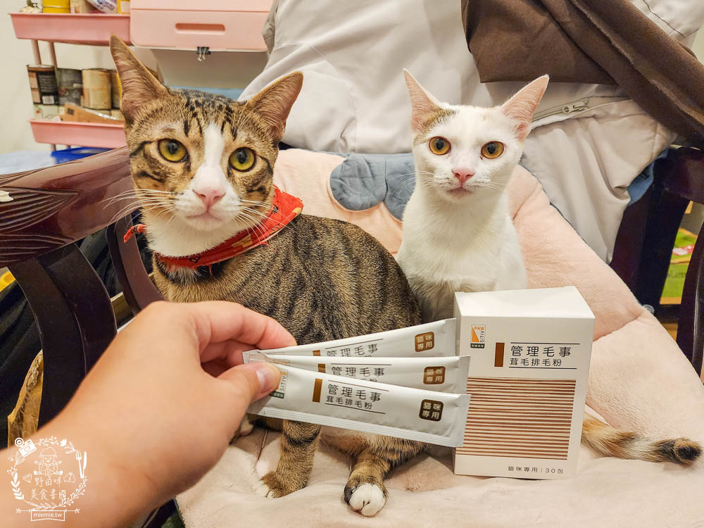 貓咪排毛粉推薦!Pawsitive和樂茸管理毛事茸毛排毛粉評價開箱!排毛爆毛一包搞定!添加日本Asahi啤酒酵母B群＋日本NIPPI專利膠原蛋白