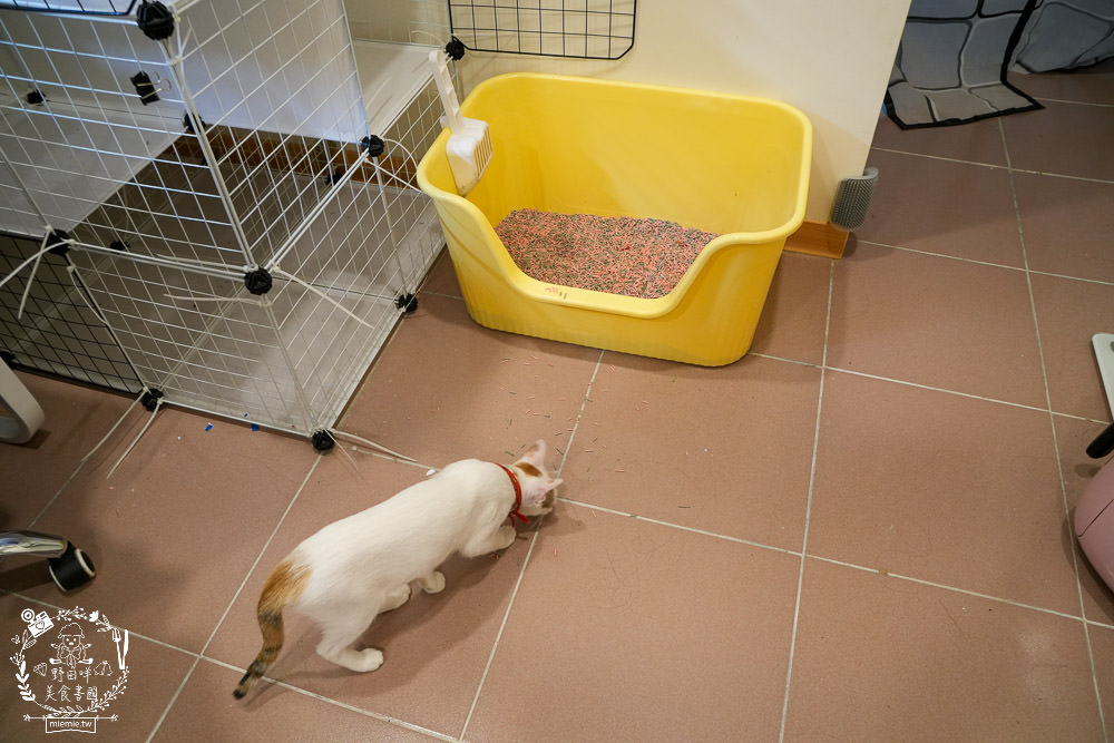 SANSUI山水 智能偵測濕拖無線吸塵器 SVC-J800|LED照明輔助+智能偵測+三檔吸力，一鍵切換清潔超方便!電動濕拖吸頭雙旋拖布會自轉清潔超省力!雙電池替換90分鐘打掃不中斷