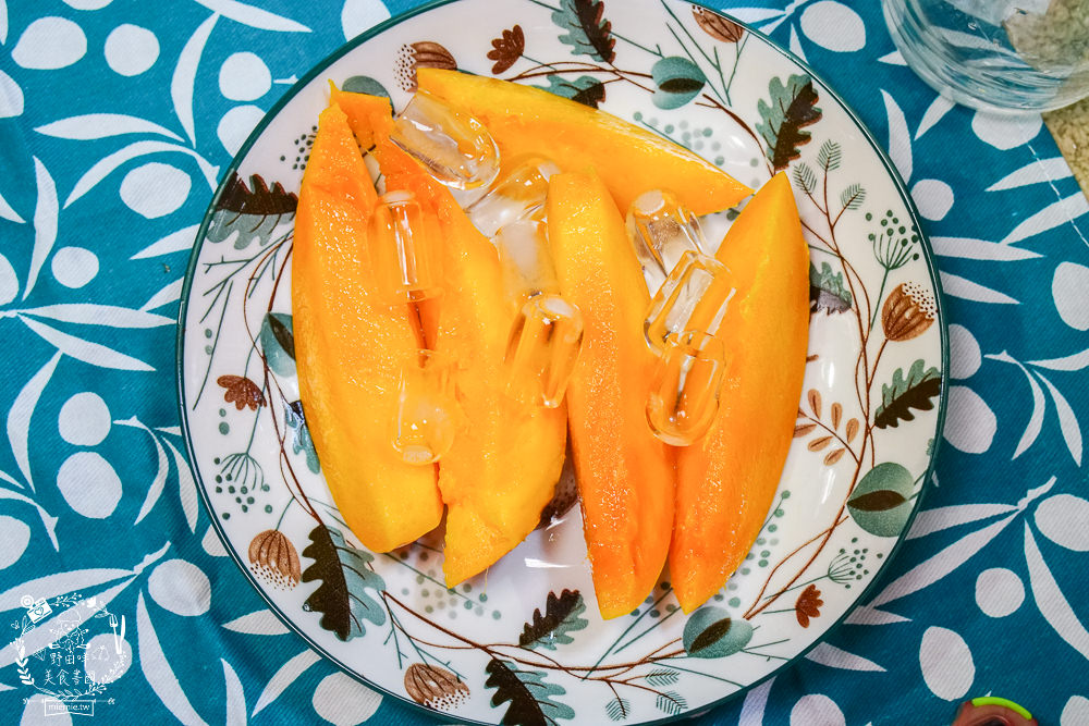 [開箱]SANSUI 山水 微電腦全自動製冰機|9分鐘快速製冰機|一鍵自動清洗很方便|露營製冰機還有大小冰塊選擇!