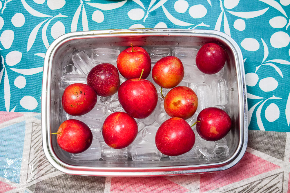 [開箱]SANSUI 山水 微電腦全自動製冰機|9分鐘快速製冰機|一鍵自動清洗很方便|露營製冰機還有大小冰塊選擇!