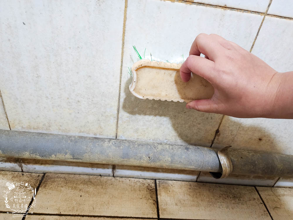 TKP速酵清植萃酵素洗劑|99%可生物分解+溫和不傷手+無石化成分的環保洗潔劑!全面通過SGS及CNS檢測 - 第15張圖 TKP速酵清植萃酵素洗劑|99%可生物分解+溫和不傷手+無石化成分的環保洗潔劑!全面通過SGS及CNS檢測