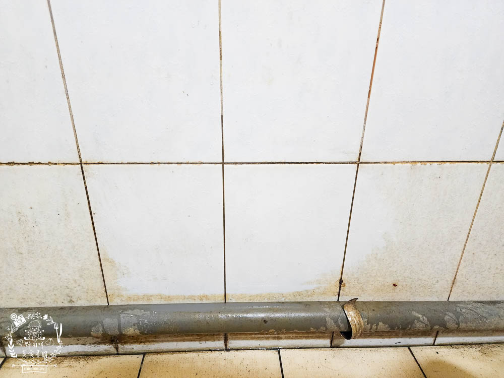 TKP速酵清植萃酵素洗劑|99%可生物分解+溫和不傷手+無石化成分的環保洗潔劑!全面通過SGS及CNS檢測 - 第17張圖 TKP速酵清植萃酵素洗劑|99%可生物分解+溫和不傷手+無石化成分的環保洗潔劑!全面通過SGS及CNS檢測