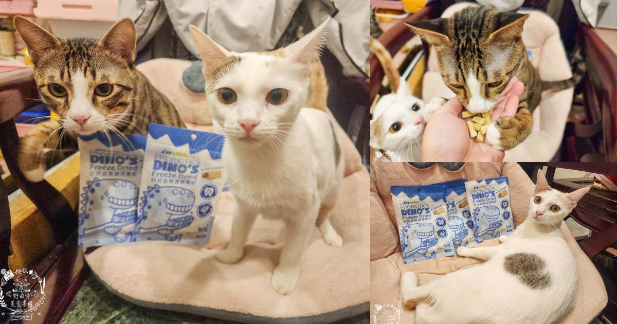 貓咪口臭推薦!IN-Plus好好益菌潔牙凍乾評價!鮮肉凍乾、好吃有效的貓咪口腔清潔保健分享