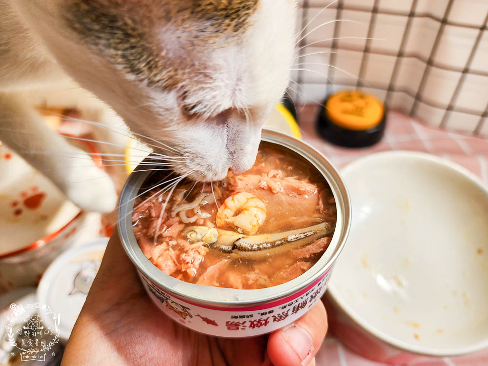 宏瑋寵物貓咪主食罐湯罐 離胺酸 腸道益生菌 牛肉凍乾 111
