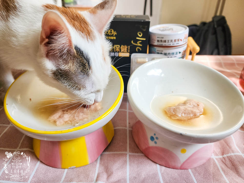 宏瑋寵物貓咪主食罐湯罐 離胺酸 腸道益生菌 牛肉凍乾 184