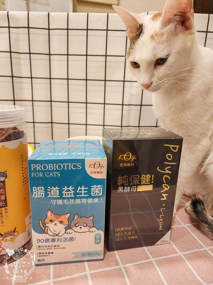 宏瑋寵物貓咪主食罐湯罐 離胺酸 腸道益生菌 牛肉凍乾 20