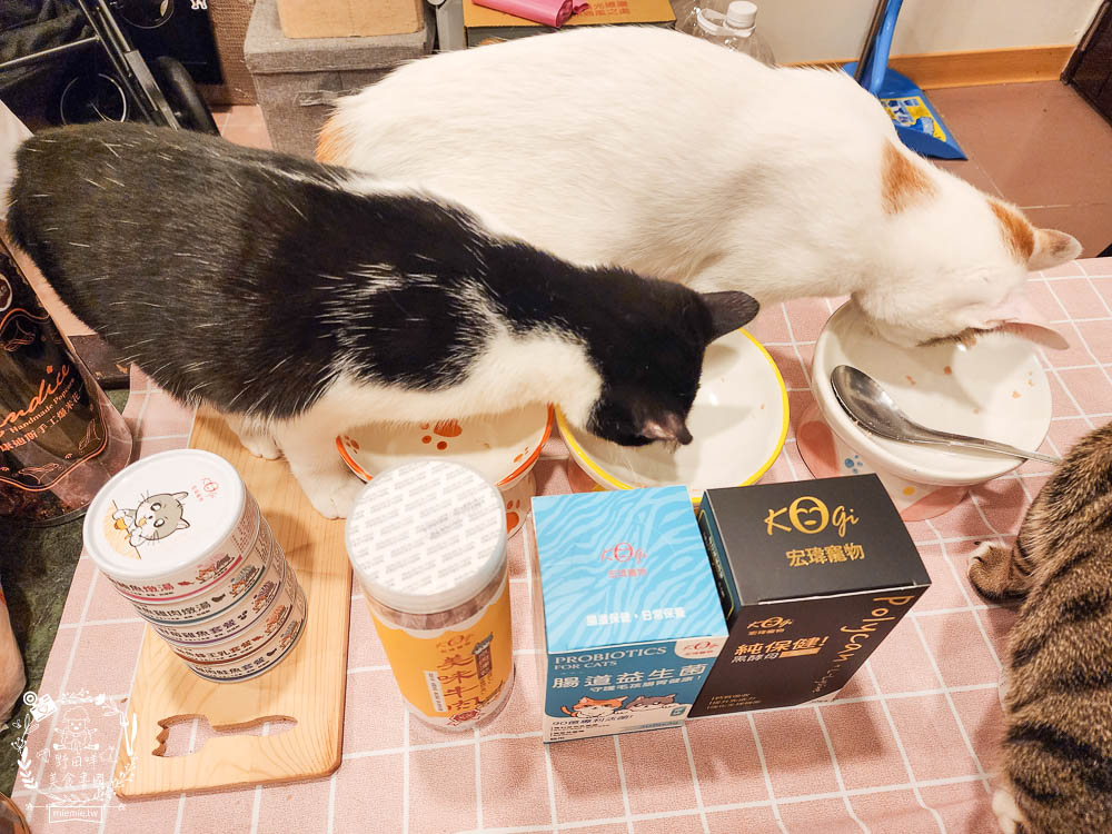 宏瑋寵物貓咪主食罐湯罐 離胺酸 腸道益生菌 牛肉凍乾 39