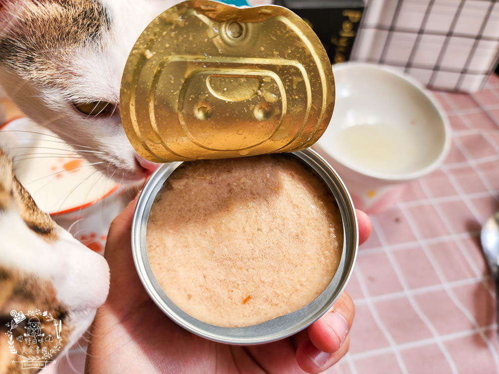 宏瑋寵物貓咪主食罐湯罐 離胺酸 腸道益生菌 牛肉凍乾 68