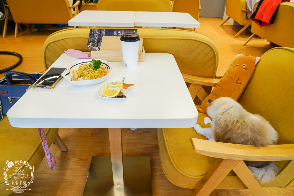 貓樂貓咖啡廳信義店 台北貓咪餐廳推薦 74