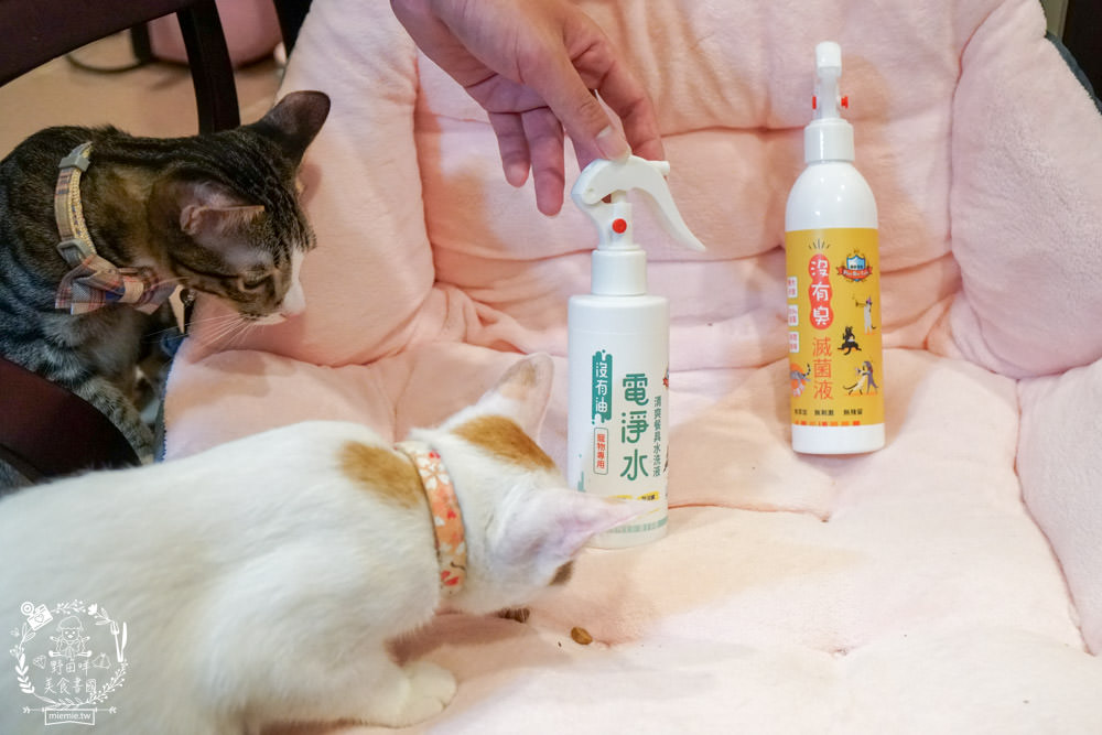 貓用滅菌液l沒有油 電淨水 清爽餐具水洗液 貓用清潔用品推薦 15