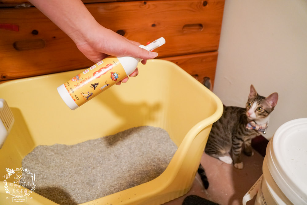 貓用滅菌液l沒有油 電淨水 清爽餐具水洗液 貓用清潔用品推薦 24