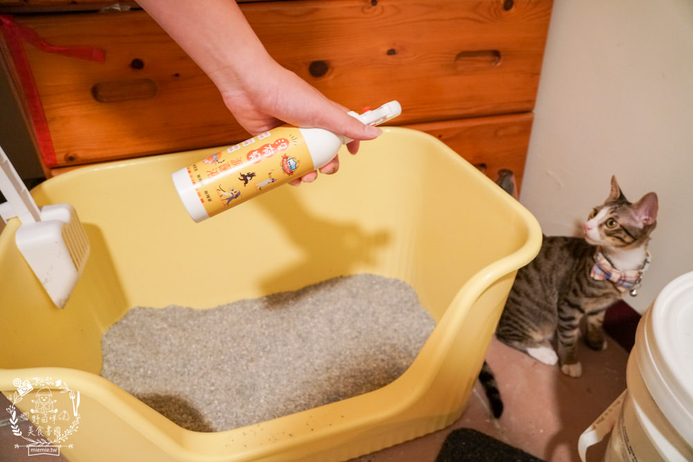 貓用滅菌液l沒有油 電淨水 清爽餐具水洗液 貓用清潔用品推薦 25